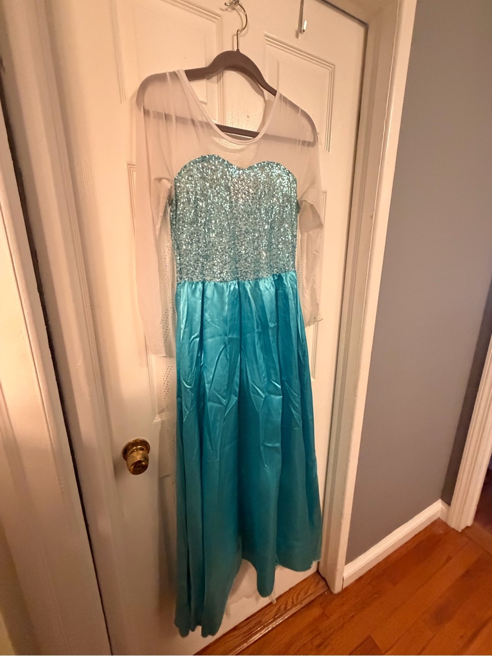 Sparkle Mesh Long-Sleeve Adult Elsa-Inspired Turquoise Dress
